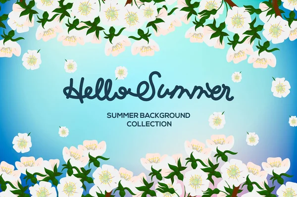 Hola tarjeta de verano con flores de fondo y texto diseñado. Ilustración vectorial . — Archivo Imágenes Vectoriales