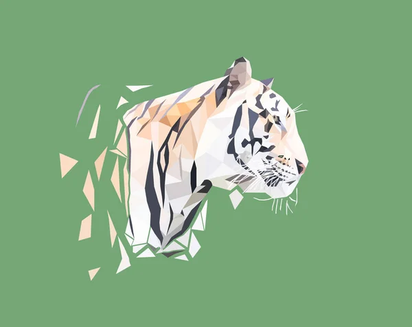 Wielokąt Tiger Tygrys Zwierzę Łowiectwo Patrząc Low Poly Modelowanie Zamierzony — Zdjęcie stockowe