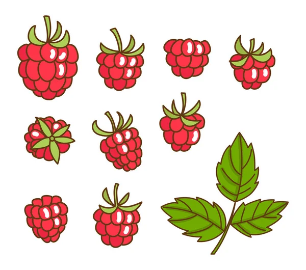 Baies fruit framboise aux feuilles. Style plat, illustration vectorielle — Image vectorielle