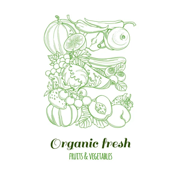 Carta E logotipo padrão fazenda orgânica frutas e legumes frescos — Vetor de Stock