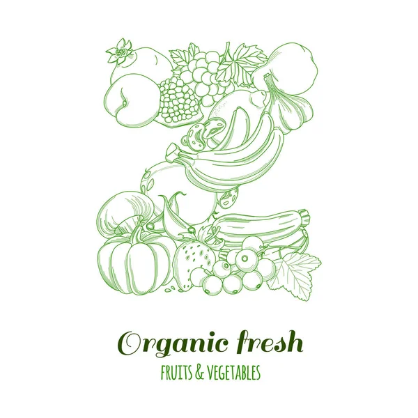 Carta Z logotipo padrão fazenda orgânica frutas e legumes frescos — Vetor de Stock