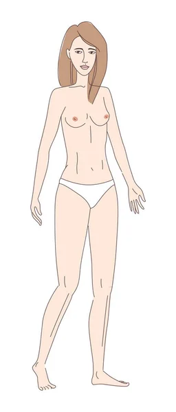 青春期少女和乳房发育 穿着白色内裤 细线艺术素描风格中的矢量插图涂鸦 — 图库矢量图片