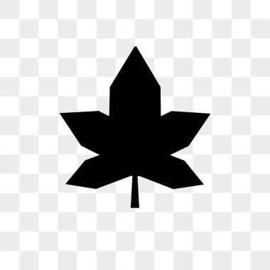 Saydam arka plan üzerinde Mapp izole Mapple yaprak vektör simgesi