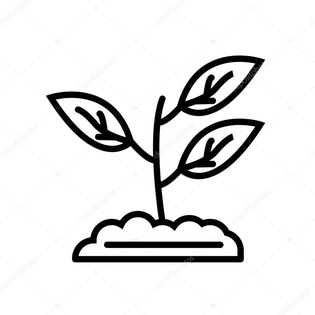 Sprout icon vector isolated on white background, Sprout transparent sign , line or linear sign, element design in outline style