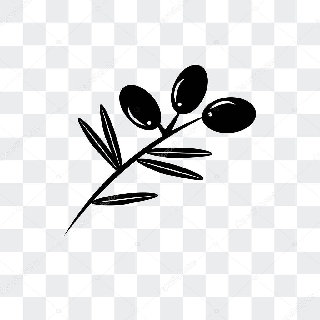 Olives on a branch vector icon isolated on transparent background, Olives on a branch logo concept