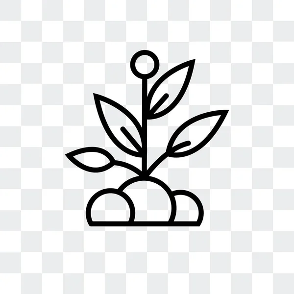Icona vettoriale del germoglio isolata su sfondo trasparente, disegno del logo del germoglio — Vettoriale Stock