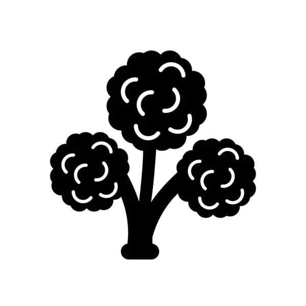 Vecteur icône brocoli isolé sur fond blanc, Panneau brocoli — Image vectorielle