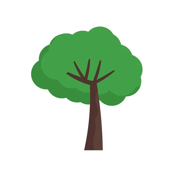 Árbol icono vector aislado sobre fondo blanco, Árbol signo, natur — Vector de stock