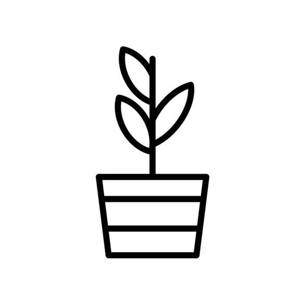 Plantera ikonen vektor isolerad på vit bakgrund, växt tecken — Stock vektor