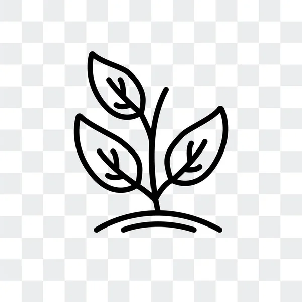 Sprout icono del vector aislado sobre fondo transparente, diseño del logotipo de Sprout — Vector de stock