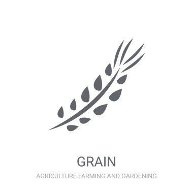 Tahıl simgesi. Trendy tahıl logo kavramı Tarım Tarım ve Bahçe koleksiyonu beyaz arka plan üzerinde. Web uygulamaları, mobil uygulamalar ve basılı medya kullanım için uygundur..