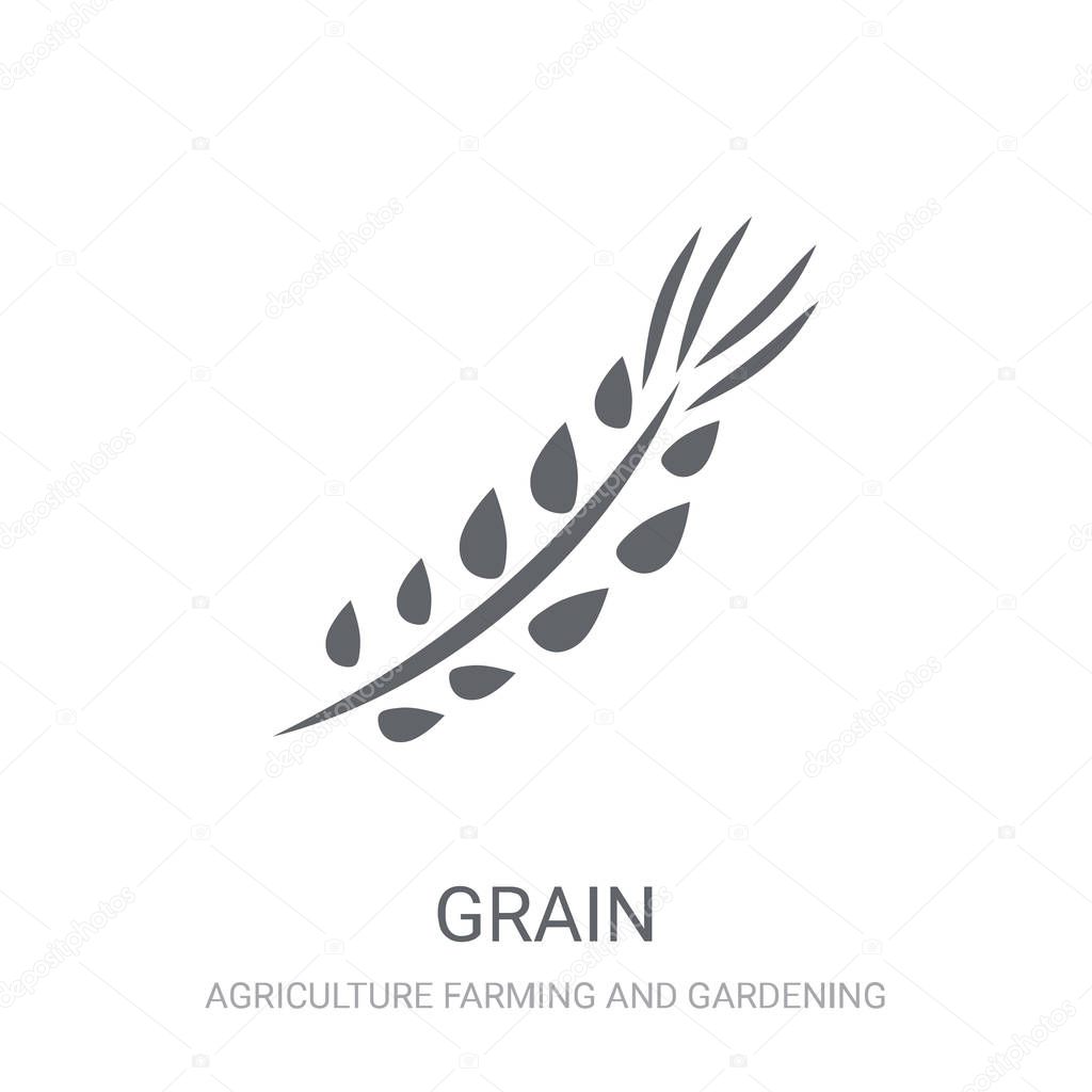Grain icon. Trendy Grain logo concept on white background from Agriculture Farming and Gardening collection. Suitable for use on web apps, mobile apps and print media.