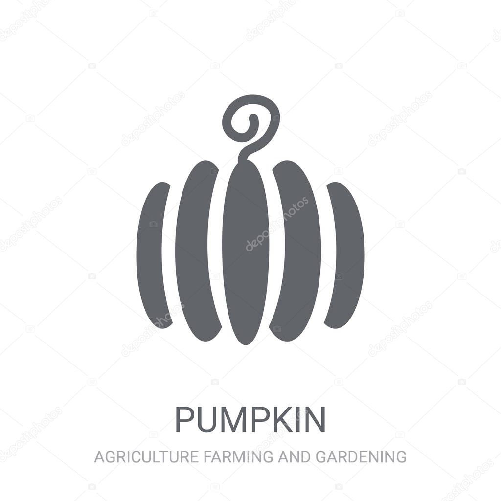 Pumpkin icon. Trendy Pumpkin logo concept on white background from Agriculture Farming and Gardening collection. Suitable for use on web apps, mobile apps and print media.