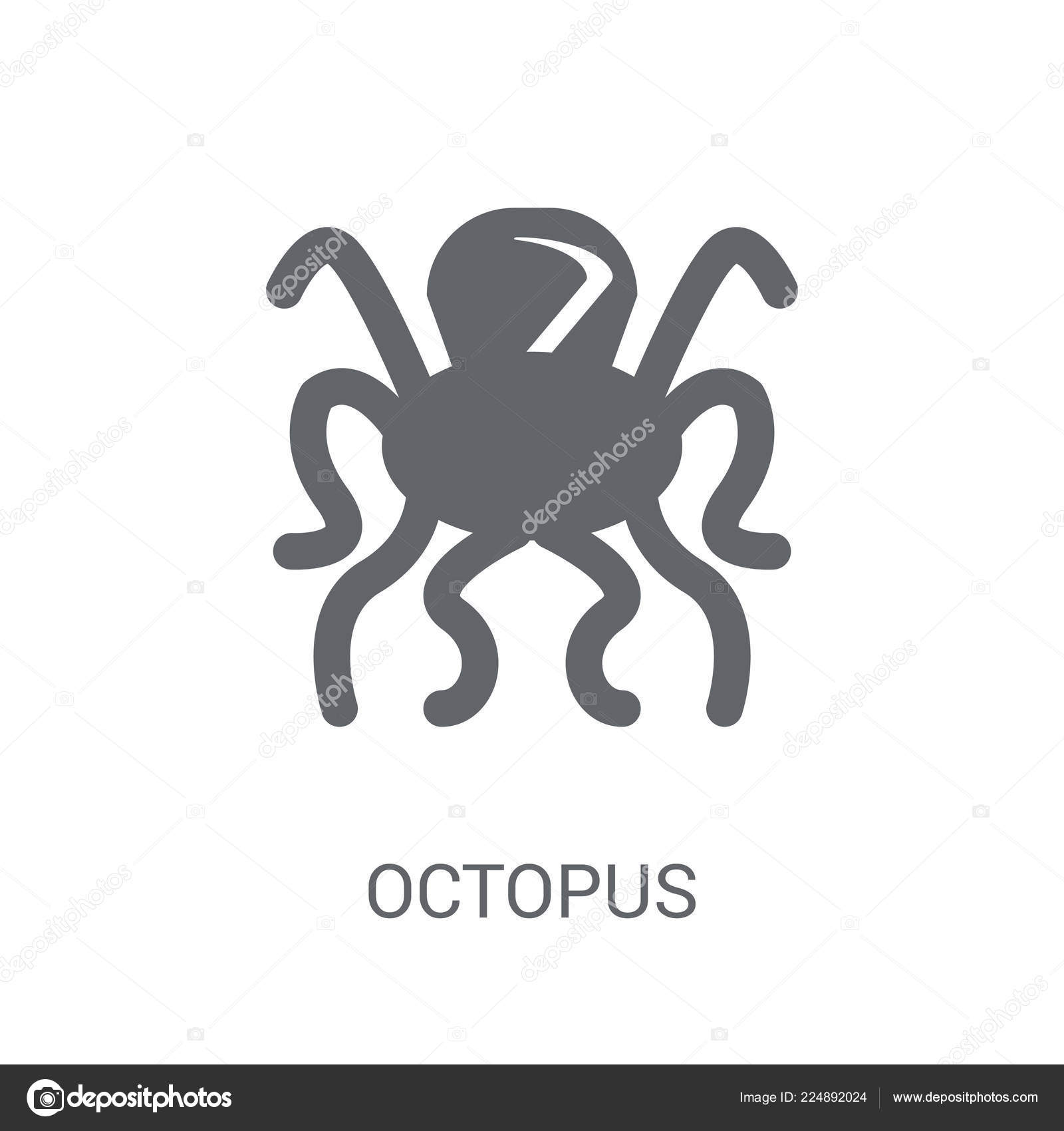 Hong kong octopus app Hong kong octopus app