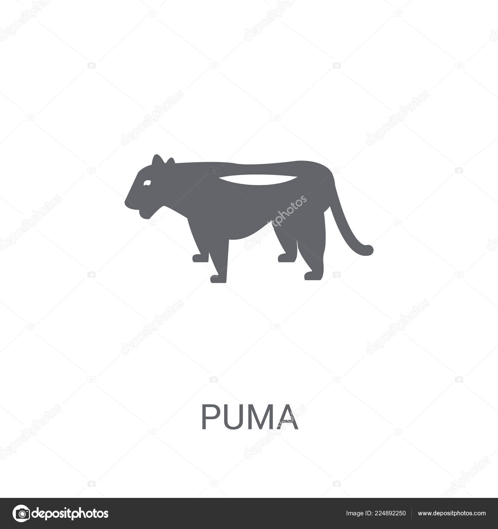 puma logo animal