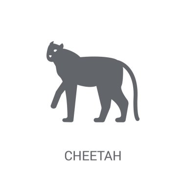 Cheetah simgesi. Trendy Cheetah logo kavramı hayvanlar koleksiyonundan beyaz arka plan üzerinde. Web uygulamaları, mobil uygulamalar ve basılı medya kullanım için uygundur..
