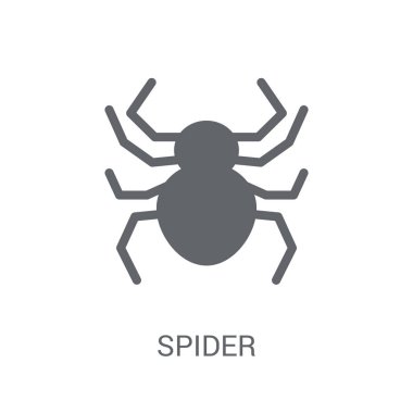Örümcek simgesi. Trendy örümcek logo kavramı hayvanlar koleksiyonundan beyaz arka plan üzerinde. Web uygulamaları, mobil uygulamalar ve basılı medya kullanım için uygundur..