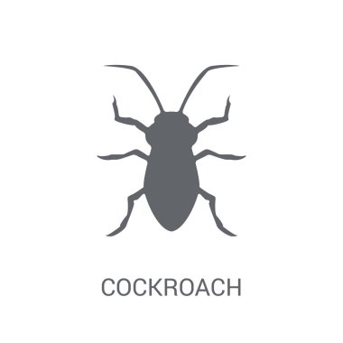 Hamam böceği simgesi. Trendy hamamböceği logo kavramı hayvanlar koleksiyonundan beyaz arka plan üzerinde. Web uygulamaları, mobil uygulamalar ve basılı medya kullanım için uygundur..