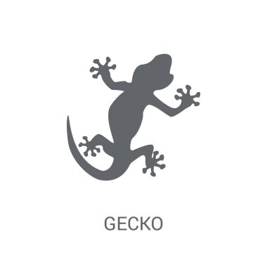 Gecko simgesi. Trendy Gecko logo kavramı hayvanlar koleksiyonundan beyaz arka plan üzerinde. Web uygulamaları, mobil uygulamalar ve basılı medya kullanım için uygundur..