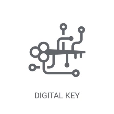 Dijital anahtar simgesi. Cryptocurrency ekonomi ve finans Collection beyaz arka plan üzerinde trendy dijital anahtar kavram. Web uygulamaları, mobil uygulamalar ve basılı medya kullanım için uygundur..