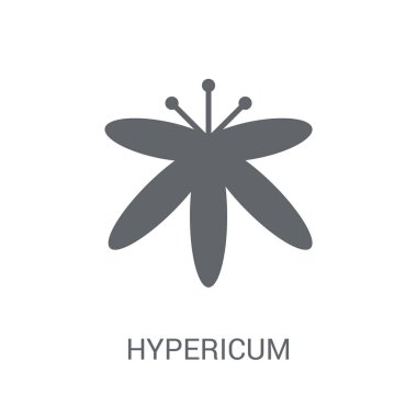Hypericum simgesi. Trendy Hypericum logo kavramı doğa koleksiyonundan beyaz arka plan üzerinde. Web uygulamaları, mobil uygulamalar ve basılı medya kullanım için uygundur..