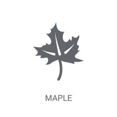 Akçaağaç simgesi. Trendy akçaağaç logo kavramı doğa koleksiyonundan beyaz arka plan üzerinde. Web uygulamaları, mobil uygulamalar ve basılı medya kullanım için uygundur..