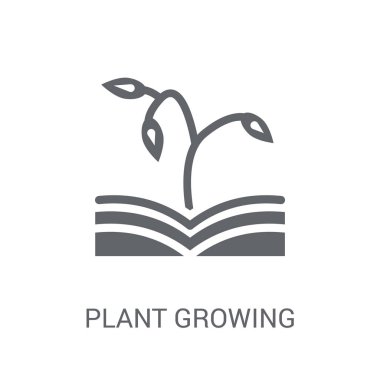 kitap simgesi üzerinde büyüyen bitki. Modaya uygun bitki doğa koleksiyonundan beyaz arka plan üzerinde logo kavramı kitap üzerinde büyüyor. Web uygulamaları, mobil uygulamalar ve basılı medya kullanım için uygundur..