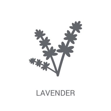 Lavanta simgesi. Trendy lavanta logo kavramı doğa koleksiyonundan beyaz arka plan üzerinde. Web uygulamaları, mobil uygulamalar ve basılı medya kullanım için uygundur..
