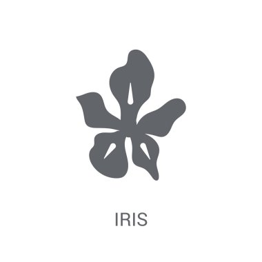 Iris simgesi. Trendy Iris logo kavramı doğa koleksiyonundan beyaz arka plan üzerinde. Web uygulamaları, mobil uygulamalar ve basılı medya kullanım için uygundur..