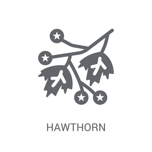 Icono Del Espino Concepto Logotipo Moda Hawthorn Sobre Fondo Blanco — Vector de stock