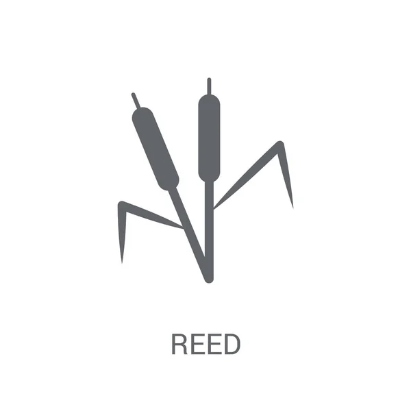 Reed Icon Trendy Reed Logo Concept White Background Nature Collection — Stock Vector