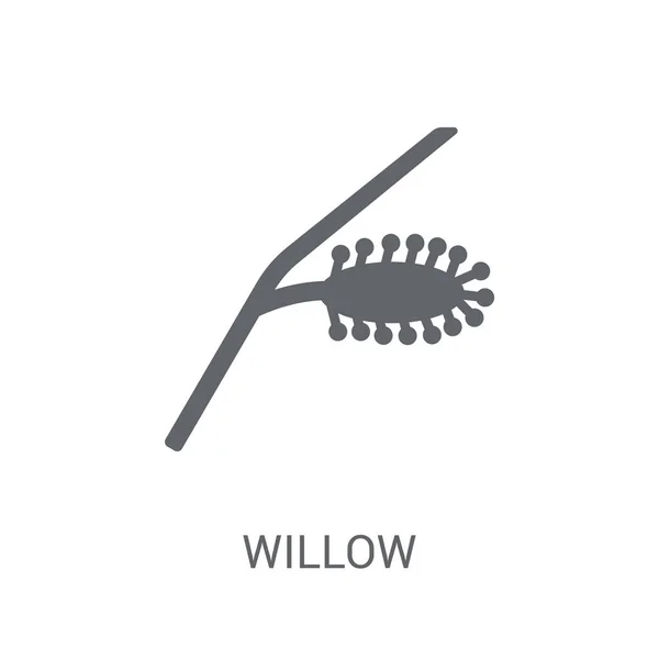 Ikona Wierzby Modny Willow Koncepcja Logo Białym Tle Kolekcji Natura — Wektor stockowy
