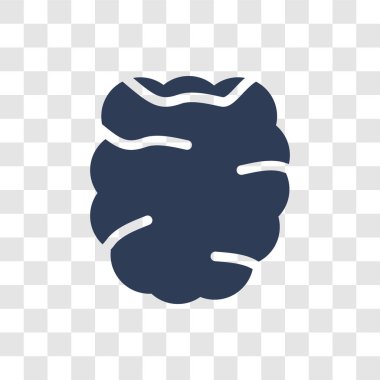 Ahududu simgesi. Meyve ve sebze koleksiyonundan şeffaf arka plan üzerinde trendy ahududu logo kavramı