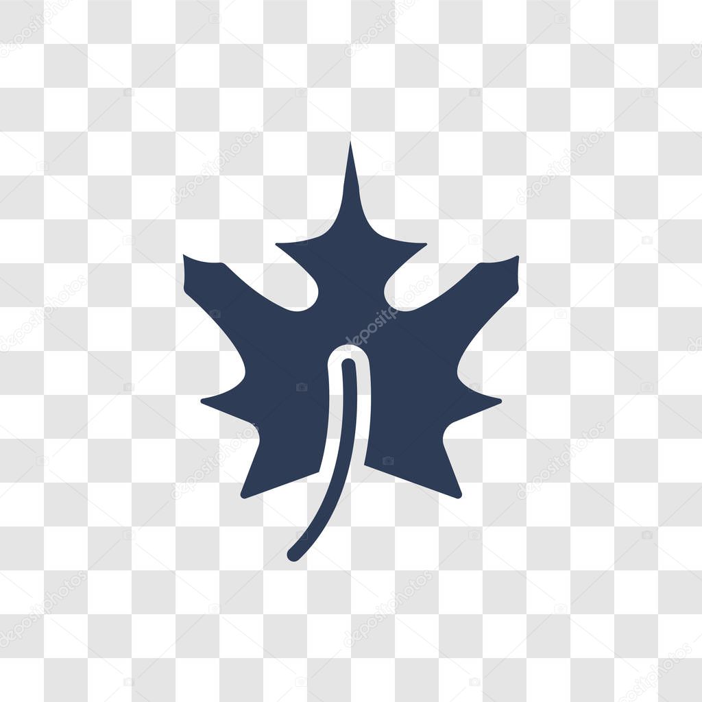 Leaf icon. Trendy Leaf logo concept on transparent background from Ecology collection