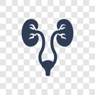 Üroloji simgesi. Sağlık ve tıp koleksiyonundan şeffaf arka plan üzerinde trendy Üroloji logo kavramı