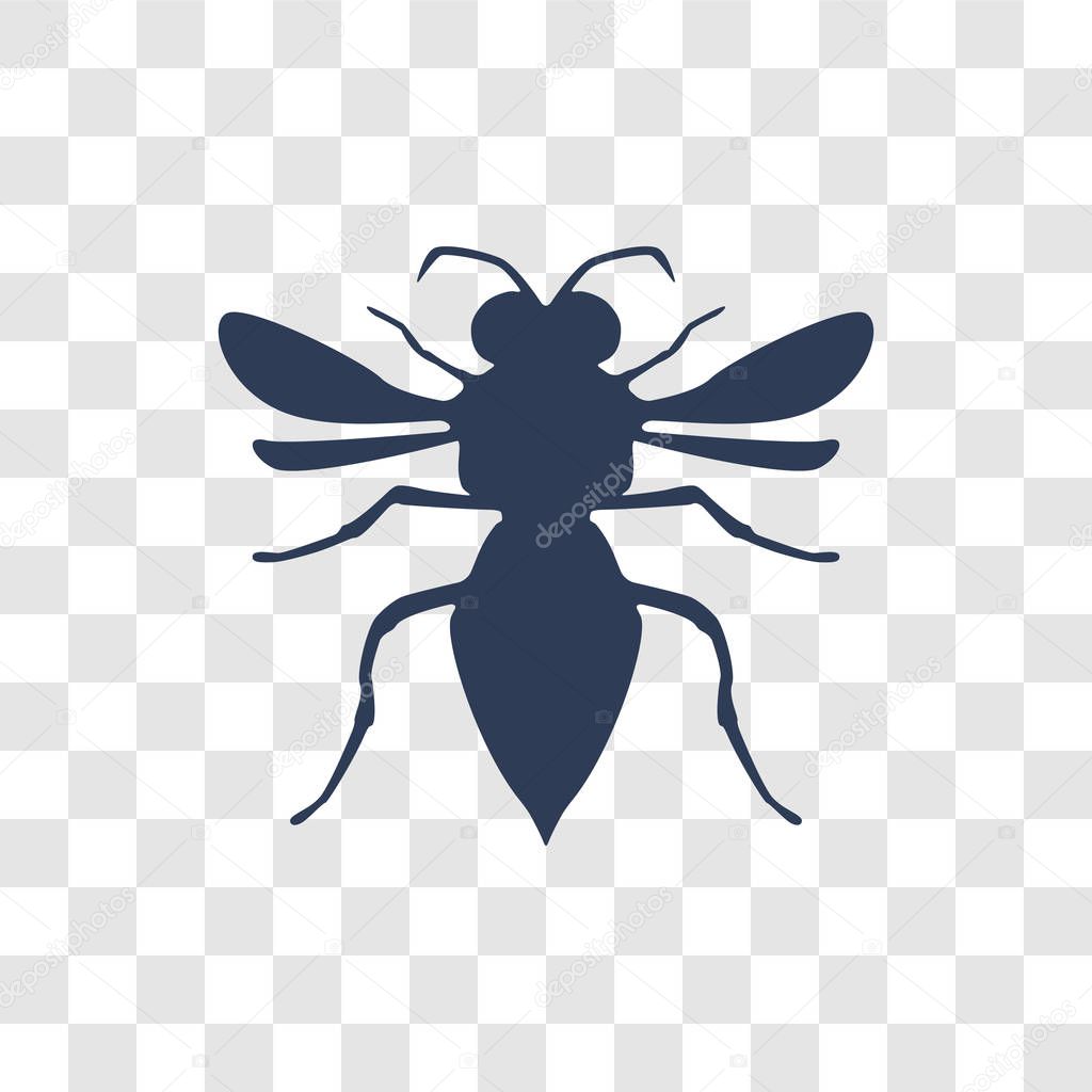 Wasp icon. Trendy Wasp logo concept on transparent background from animals   collection