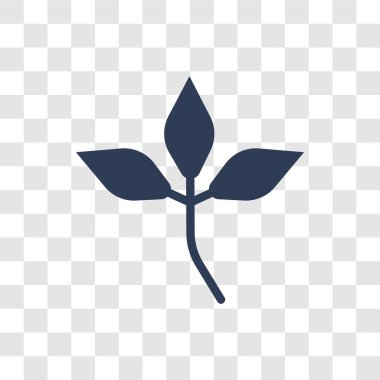yaprak simgesi. Trendy yaprak logo kavramı şeffaf arka plan üzerinde toplama bırakır