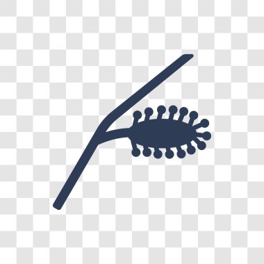 Willow simgesi. Trendy Willow logo kavramı doğa koleksiyonundan şeffaf arka plan üzerinde