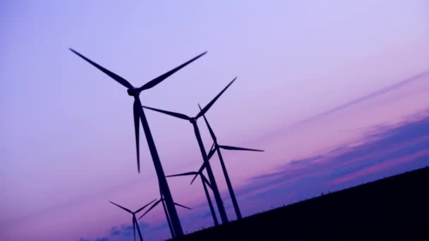 Aerogeneradores Parque Eólico Campo Bajo Una Hermosa Puesta Sol — Vídeo de stock