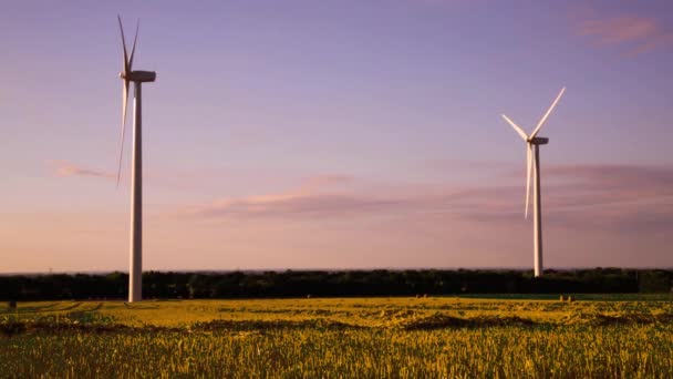 Windturbines Een Windmolenpark Het Platteland Onder Een Prachtige Zonsondergang — Stockvideo