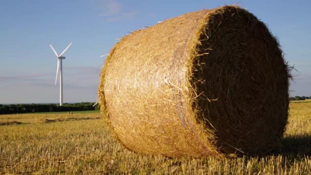 Strohball Auf Einem Feld Mit Windpark Hintergrund — Stockvideo