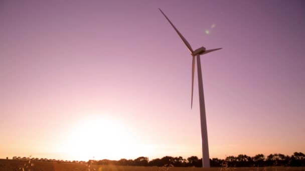 Windkraftanlagen Einem Windpark Auf Dem Land Bei Schönem Sonnenuntergang — Stockvideo