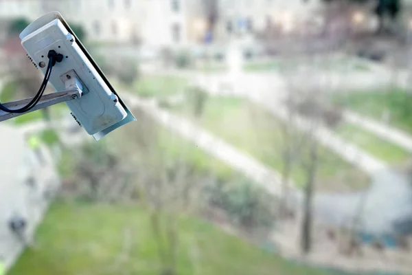 Modern CCTV camera on a wall monitor the movement on a park of the top of the building,
