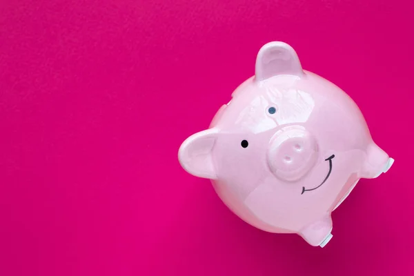 front view of piggy bank isolated on purple background