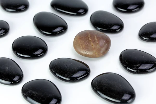 黒は白背景に茶色の小石と小石します 多様性や特異性の概念 — ストック写真