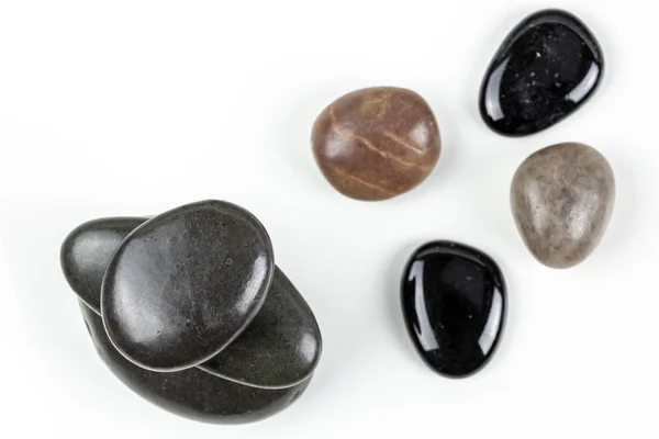 黒は白背景に茶色の小石と小石します 多様性や特異性の概念 — ストック写真