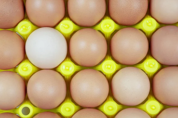 Vassoio Contenente Una Moltitudine Uova Pollo Fresche Provenienti Dalla Fattoria — Foto Stock