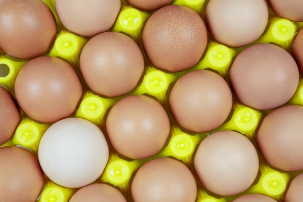 Vassoio Contenente Una Moltitudine Uova Pollo Fresche Provenienti Dalla Fattoria — Foto Stock