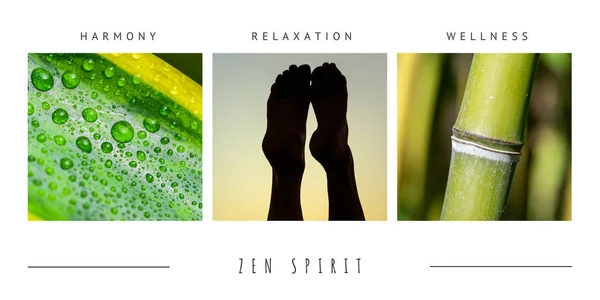 Spa zen collage de fotos temáticas compuestas de diferentes imágenes — Foto de Stock