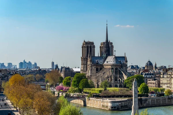 Vue panoramique sur la cathédrale Notre Dame de Paris sur le dos — Photo